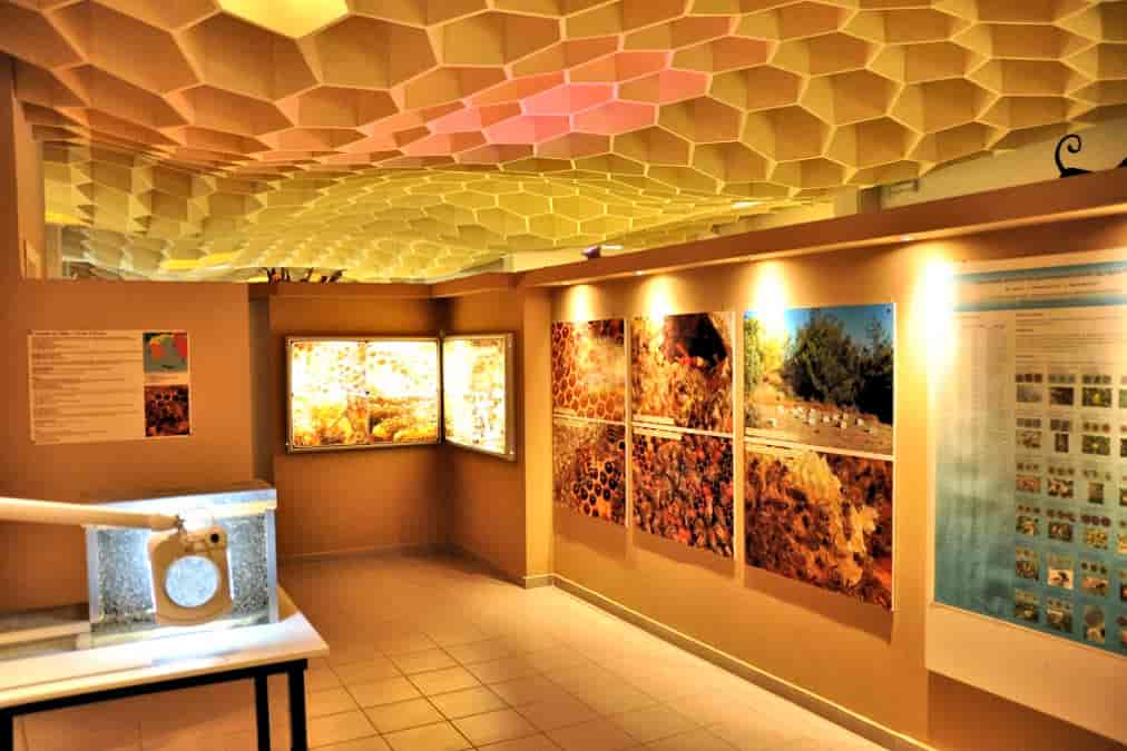 Μουσείο Μέλισσας